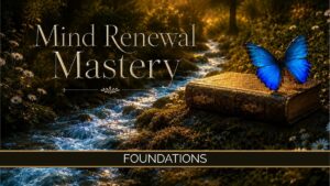 Welcome! We start with the Foundation.