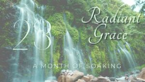 Day 23 ~ Grace Goes With You
