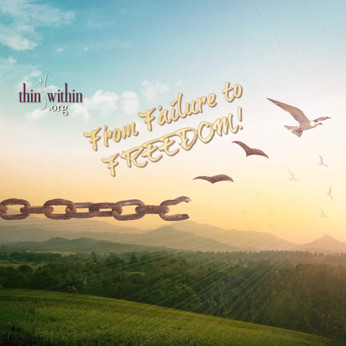 From Failure to Freedom